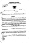 Vista preliminar de documento RDR 7283-2024