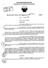 Vista preliminar de documento RDR 7055-2024