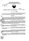 Vista preliminar de documento RDR 7286-2024