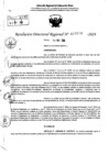 Vista preliminar de documento RDR 7058-2024