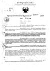 Vista preliminar de documento RDR 6927-2024