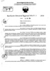 Vista preliminar de documento RDR 7059-2024