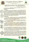 Vista preliminar de documento ORDENANZA MUNICIPLA 11