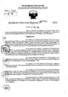 Vista preliminar de documento RDR 7290-2024
