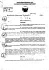 Vista preliminar de documento RDR 7062-2024