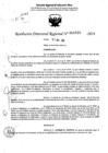 Vista preliminar de documento RDR 6930-2024
