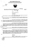 Vista preliminar de documento RDR 6931-2024