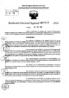 Vista preliminar de documento RDR 7293-2024