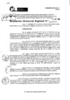 Vista preliminar de documento RDR 7065-2024