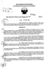 Vista preliminar de documento RDR 7294-2024