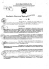 Vista preliminar de documento RDR 7295-2024