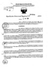 Vista preliminar de documento RDR 7298-2024