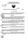 Vista preliminar de documento RDR 7299-2024