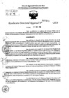 Vista preliminar de documento RDR 7301-2024