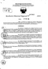 Vista preliminar de documento RDR 7302-2024