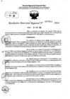 Vista preliminar de documento RDR 7303-2024