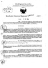 Vista preliminar de documento RDR 7307-2024