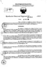 Vista preliminar de documento RDR 7310-2024