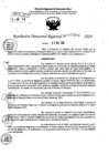 Vista preliminar de documento RDR 7314-2024
