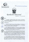 Vista preliminar de documento RD N°312-10-2024-DE-HCLLH-MINSA
