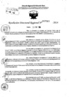 Vista preliminar de documento RDR 7315-2024
