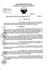 Vista preliminar de documento RDR 7319-2024