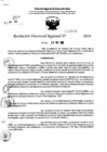 Vista preliminar de documento RDR 7663-2024