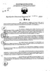 Vista preliminar de documento RDR 7664-2024