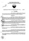 Vista preliminar de documento RDR 7665-2024