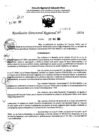 Vista preliminar de documento RDR 7668-2024