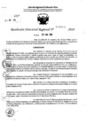 Vista preliminar de documento RDR 7669-2024