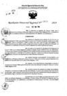Vista preliminar de documento RDR 7670-2024