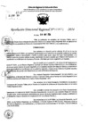 Vista preliminar de documento RDR 7672-2024