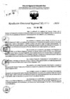 Vista preliminar de documento RDR 7673-2024