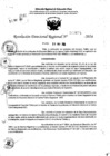 Vista preliminar de documento RDR 7674-2024