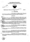 Vista preliminar de documento RDR 7675-2024