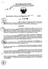 Vista preliminar de documento RDR 7677-2024
