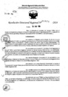 Vista preliminar de documento RDR 7678-2024