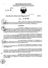 Vista preliminar de documento RDR 7686-2024