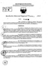 Vista preliminar de documento RDR 7699-2024