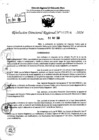 Vista preliminar de documento RDR 7704-2024