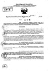 Vista preliminar de documento RDR 7707-2024