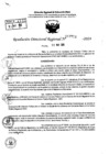 Vista preliminar de documento RDR 7711-2024