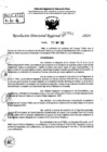 Vista preliminar de documento RDR 7712-2024