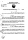 Vista preliminar de documento RDR 7715-2024