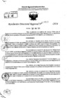 Vista preliminar de documento RDR 7717-2024