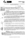 Vista preliminar de documento RDR 7420-2024