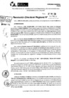 Vista preliminar de documento RDR 7419-2024