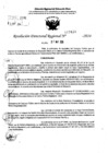 Vista preliminar de documento RDR 7430-2024