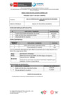 Vista preliminar de documento CAS Nº 045-2024_RC